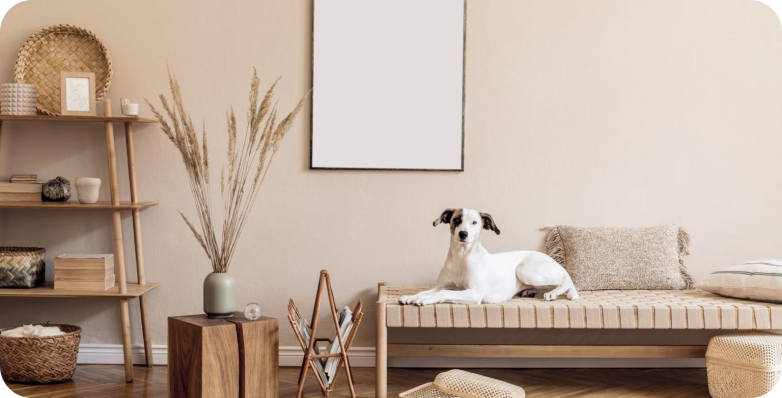 Для переезда: жилье